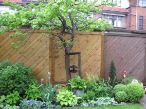 borderline deel II