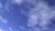 fly away